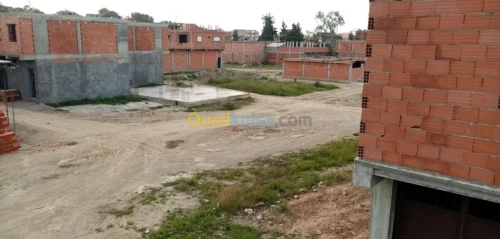 Vente Terrain Blida Boufarik