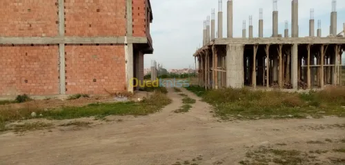Vente Terrain Blida Boufarik