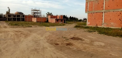 Vente Terrain Blida Boufarik