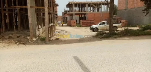 Vente Terrain Blida Boufarik