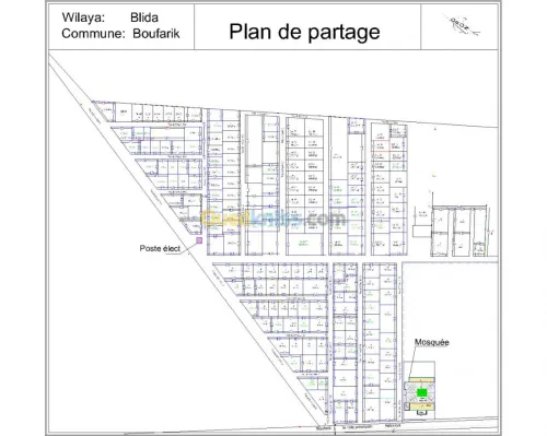 Vente Terrain Blida Boufarik