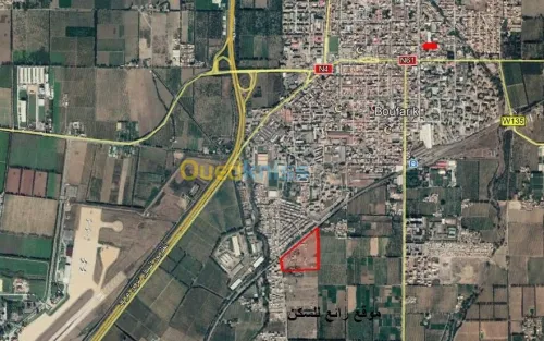 Vente Terrain Blida Boufarik