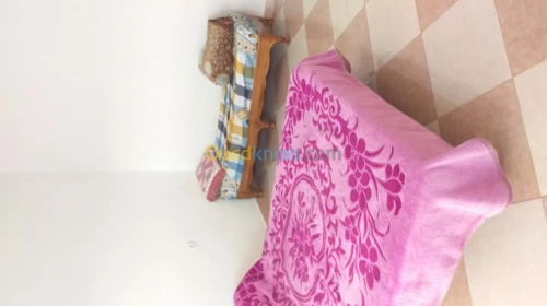 Location Appartement F2 Tlemcen Hammam boughrara