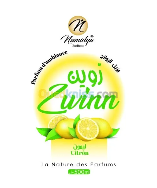 Conception  logo et  tous supports pub