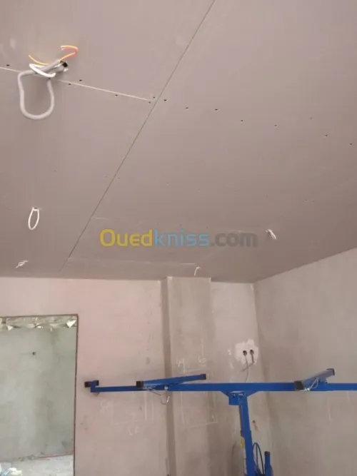 Placo plâtre ba 13 ba 10 