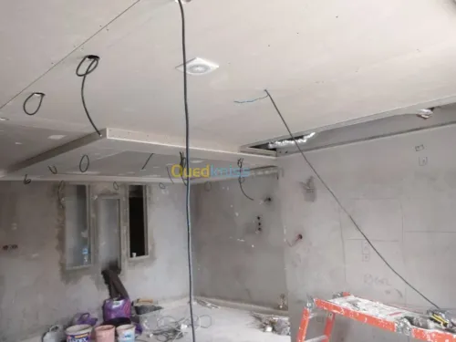 Placo plâtre ba 13 ba 10 