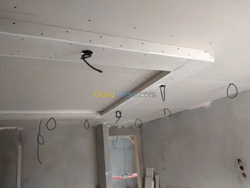 Placo plâtre ba 13 ba 10 