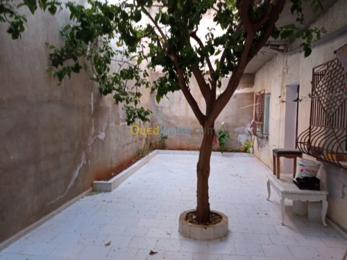 Vente Villa Ain temouchent Chaabet el ham