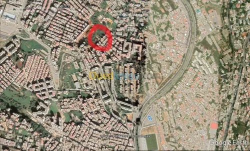 Location Local Alger Birkhadem