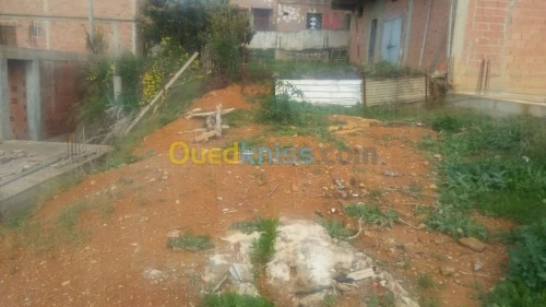Vente Carcasse Tipaza Meurad
