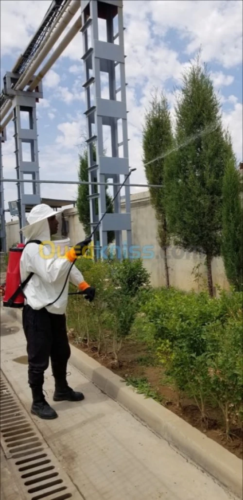 Nettoyage,dératisation, مكافحة الحشرات