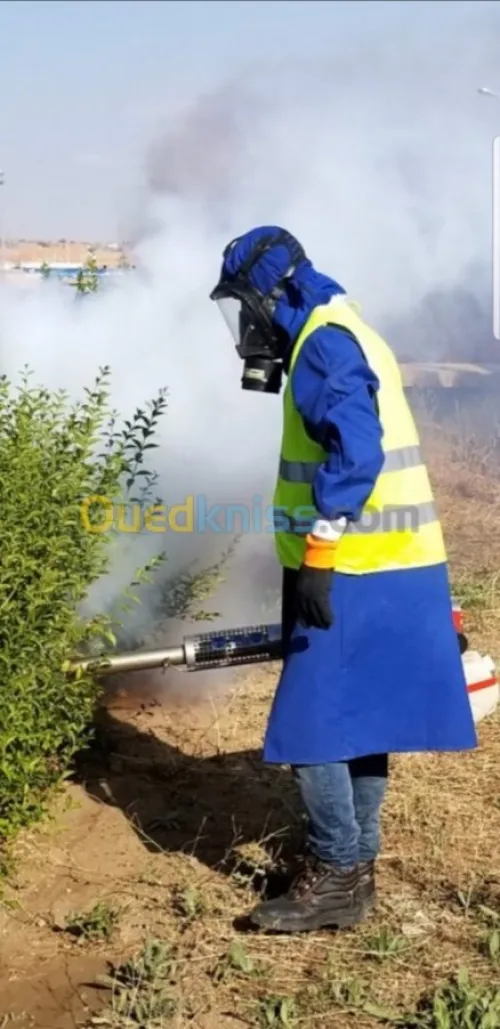 Nettoyage,dératisation, مكافحة الحشرات