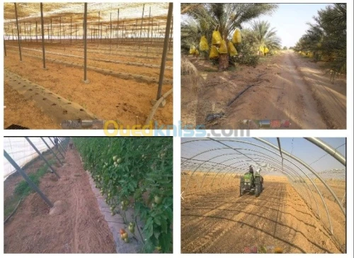 Vente Terrain Agricole Khenchela Babar