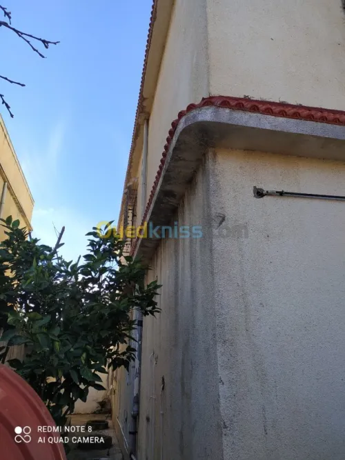 Vente Villa El taref Ain el assel