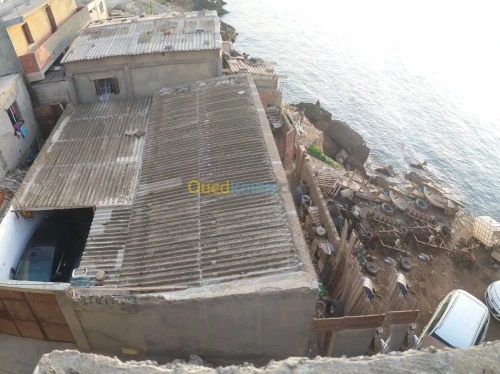 Vente Terrain Tipaza Douaouda