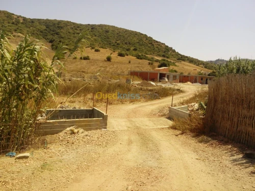 Vente Terrain Boumerdes Zemmouri