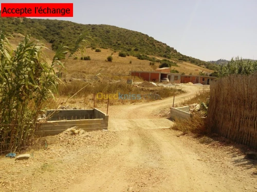 Echange Terrain Boumerdes Zemmouri