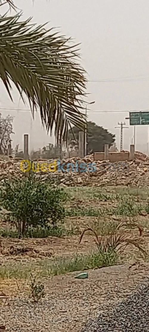 Vente Terrain Bechar Bechar