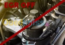 Suppression EGR/FAP/ADBLEU..