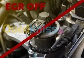 Désactivation définitive FAP + EGR