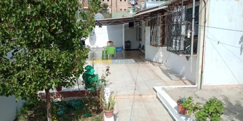 Vente bien immobilier El taref Besbes