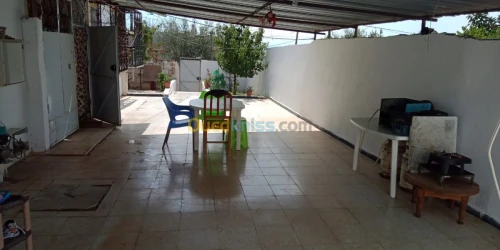 Vente bien immobilier El taref Besbes