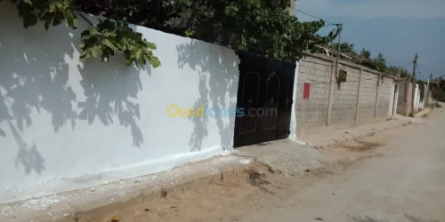 Vente bien immobilier El taref Besbes