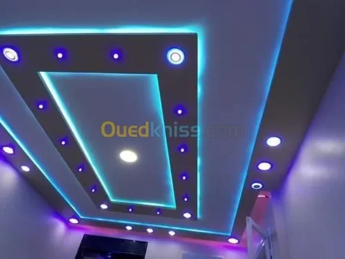 Montage placo platre