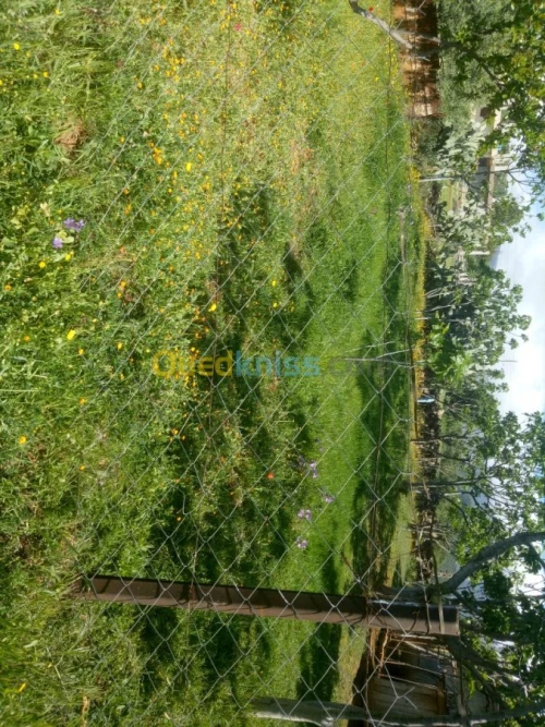 Vente Terrain Bouira Taghzout