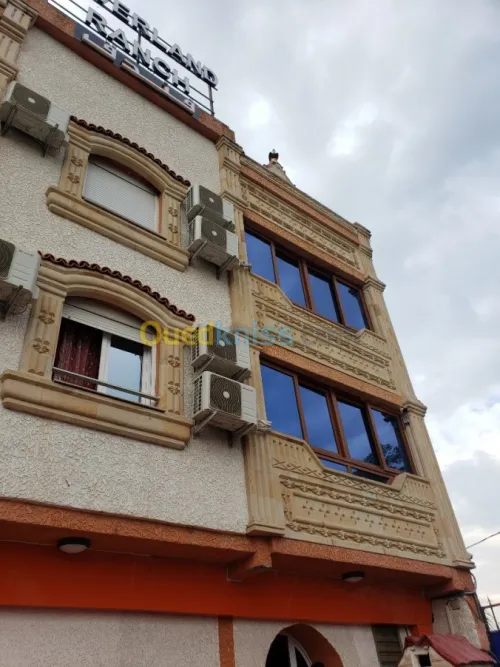 ديكور المنازل والفيلات  