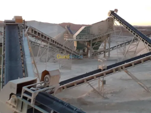 Vente Usine Djelfa Ain el ibel