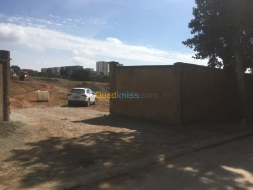 Vente Terrain Tipaza Bou ismail