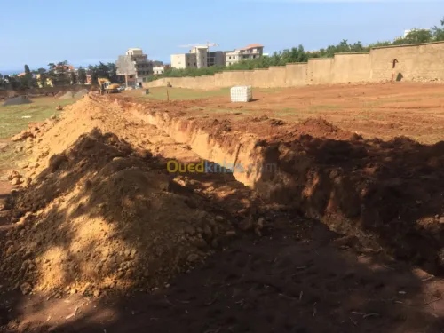 Vente Terrain Tipaza Bou ismail