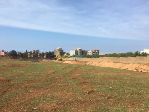 Vente Terrain Tipaza Bou ismail