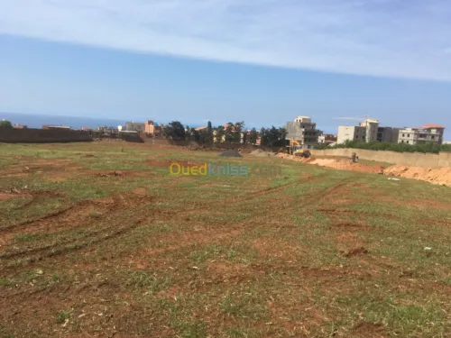 Vente Terrain Tipaza Bou ismail
