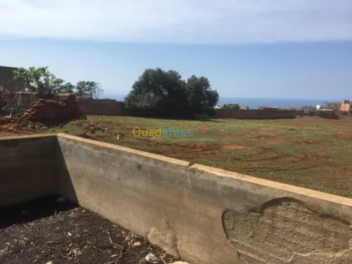 Vente Terrain Tipaza Bou ismail