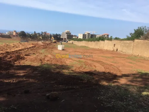 Vente Terrain Tipaza Bou ismail