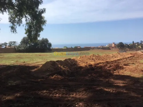 Vente Terrain Tipaza Bou ismail