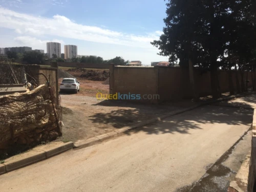 Vente Terrain Tipaza Bou ismail