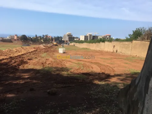 Vente Terrain Tipaza Bou ismail