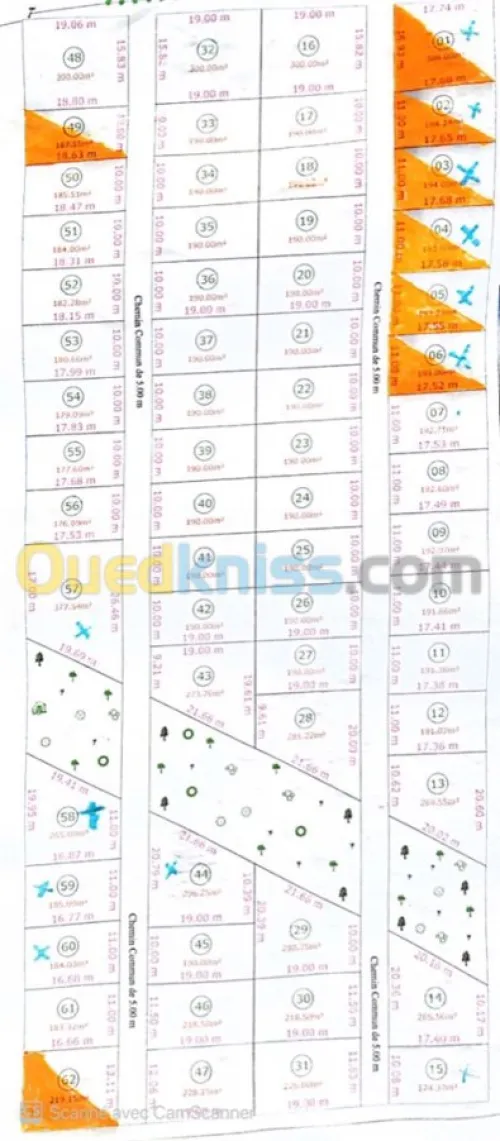 Vente Terrain Tipaza Bou ismail