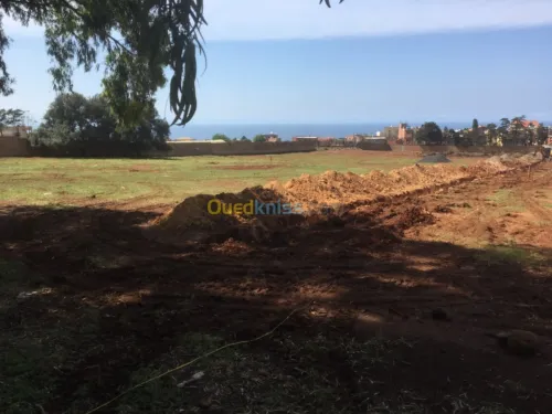 Vente Terrain Tipaza Bou ismail