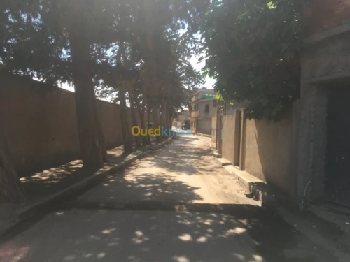 Vente Terrain Tipaza Bou ismail