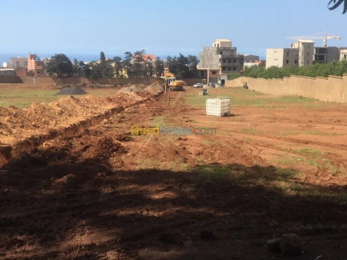 Vente Terrain Tipaza Bou ismail