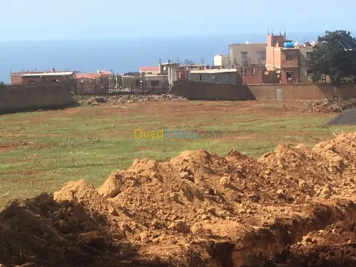 Vente Terrain Tipaza Bou ismail
