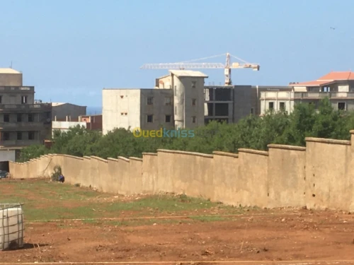 Vente Terrain Tipaza Bou ismail
