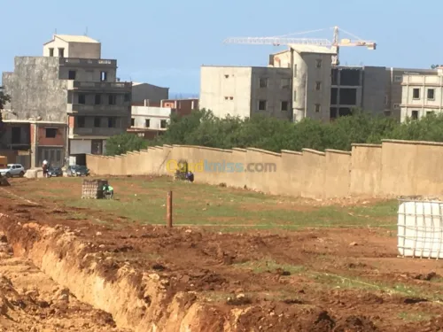 Vente Terrain Tipaza Bou ismail