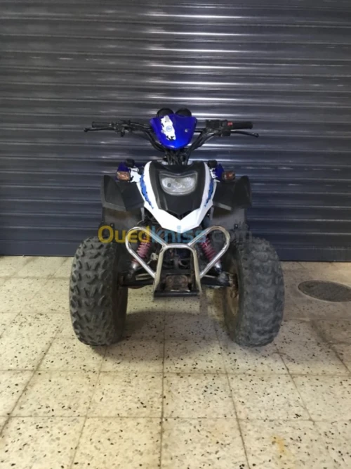 Keeway Atv 100