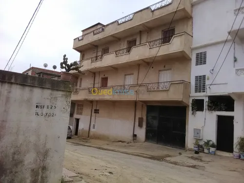 Vente Villa Alger Birtouta