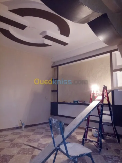 DECORATION PLACO & PENTURE 